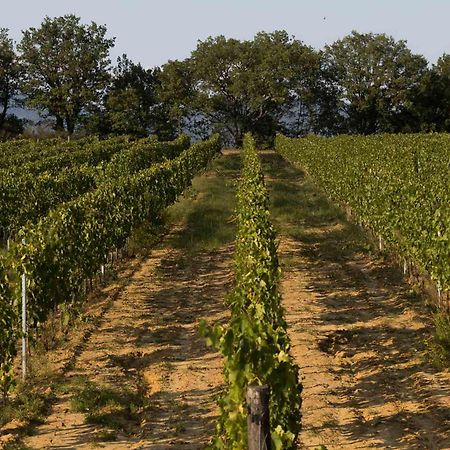 Agriturismo Le Baccane Vinci Zewnętrze zdjęcie