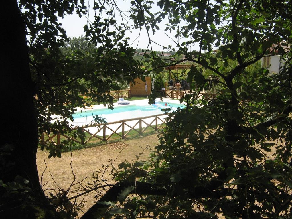 Agriturismo Le Baccane Vinci Zewnętrze zdjęcie