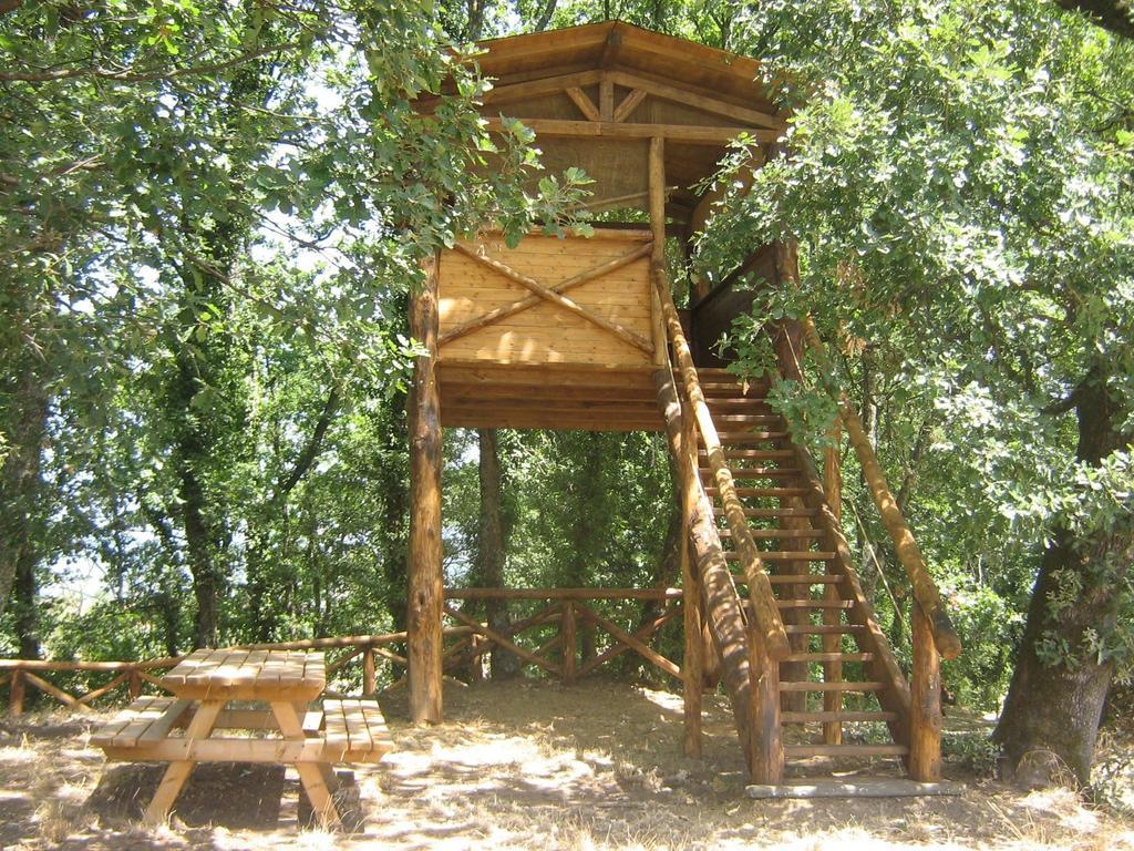 Agriturismo Le Baccane Vinci Zewnętrze zdjęcie